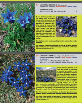 Guía imprescindible de las flores del Parque Nacional de Ordesa y Monte Perdido. 2ª edición