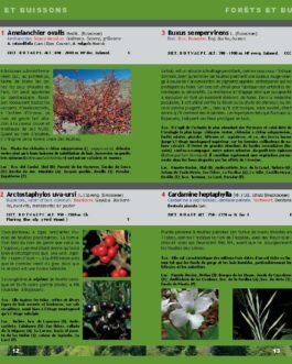 Guide essentiel des fleurs du Parc national d’Ordesa et du Mont-Perdu