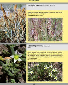 Guía imprescindible de las flores de la Depresión del Ebro