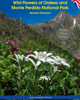 Wild Flowers of Ordesa and Monte Perdido National Park (Spanish Pyrenees)