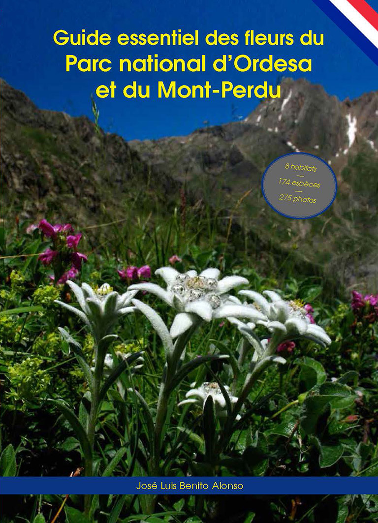 Guide essentiel des fleurs du Parc national d’Ordesa et du Mont-Perdu