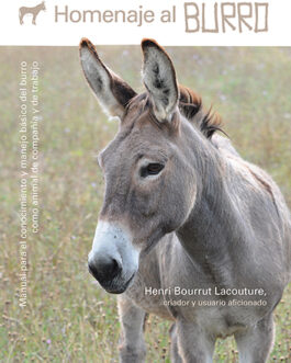 Burro Portada