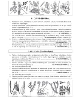 Claves Ilustradas para la Flora Valenciana