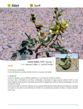 Sahara Occidental. Plantas y Usos