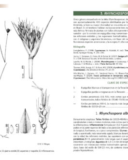 Guía de campo de las ciperáceas de España y Portugal