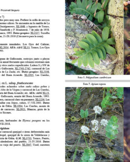 Catálogo de flora de la cuenca endorreica de la laguna de Gallocanta