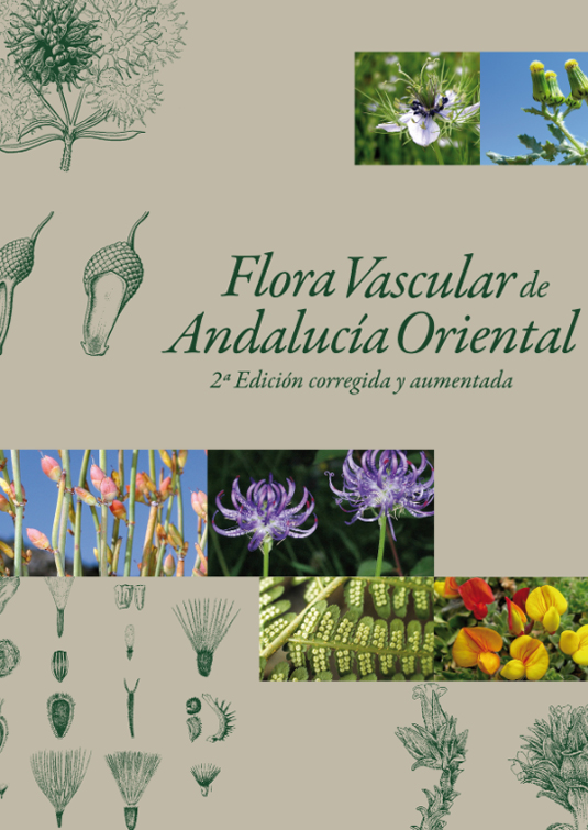 Flora vascular de Andalucía Occidental y Oriental