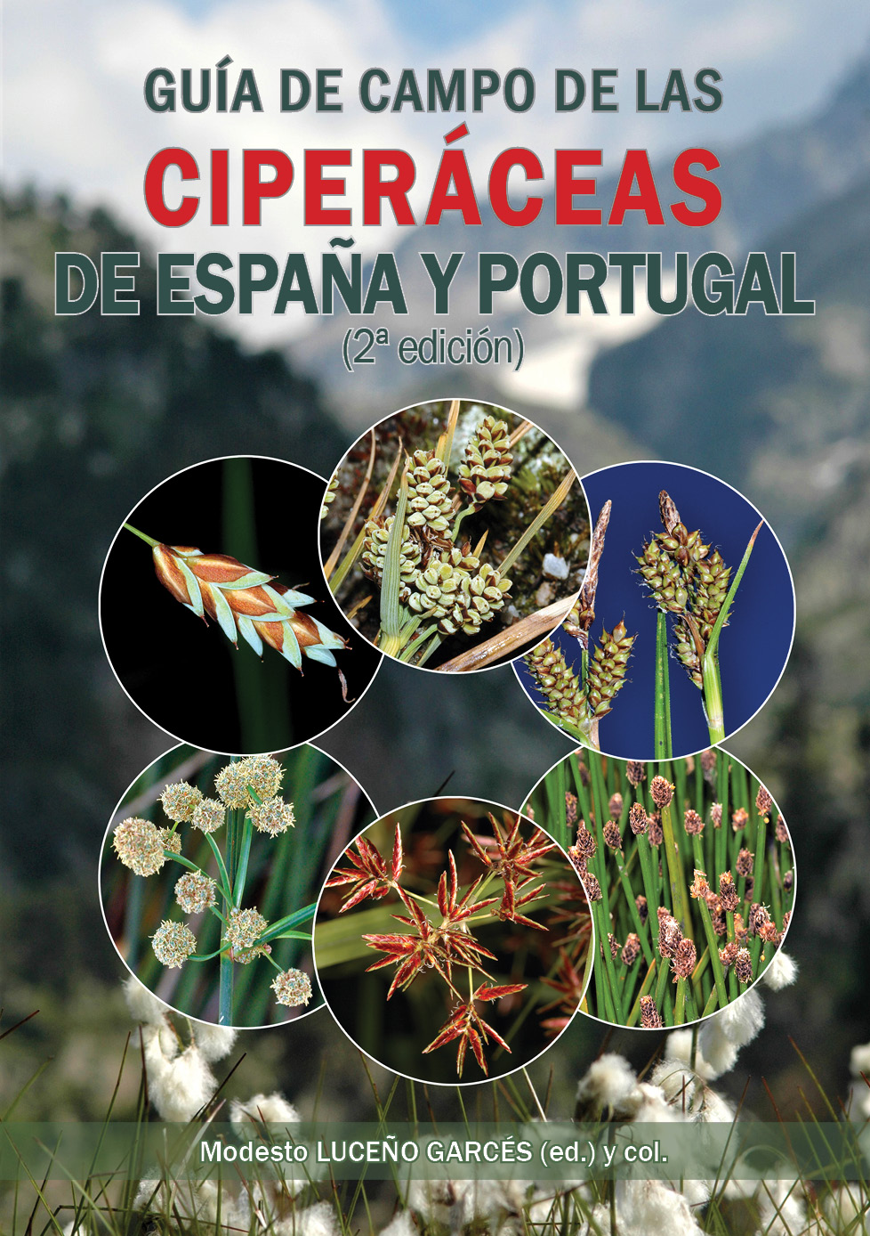 Gua de campo de las ciperceas de Espaa y Portugal, 2 ed. (2024)