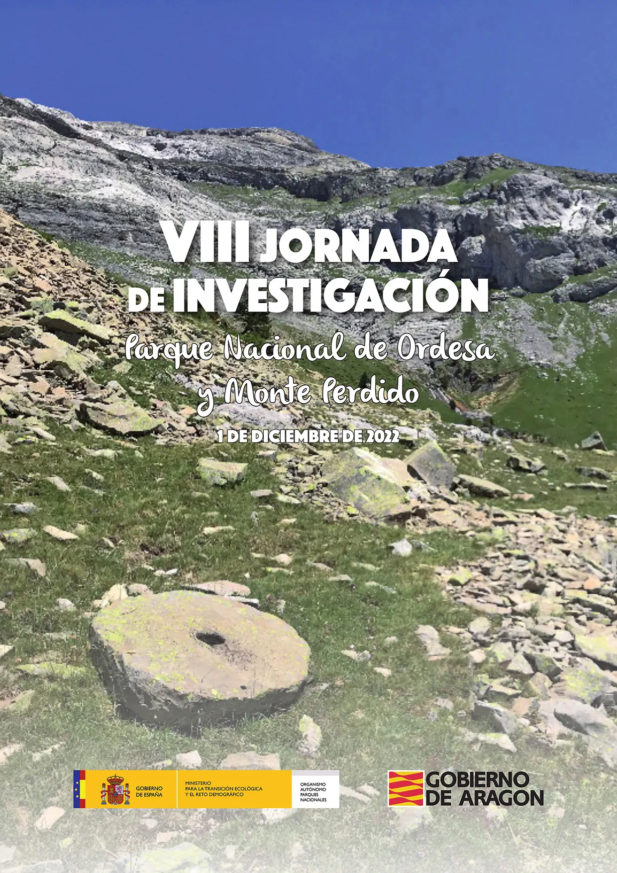 VIII Jornada de investigación del PNOMP 2022