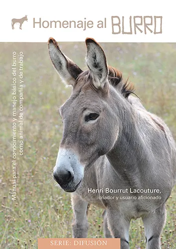 Homenaje al burro